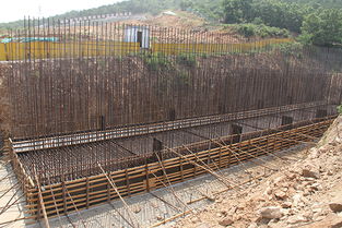 倒排工期，全力推進環(huán)山路改建工程高質(zhì)量建設(shè)